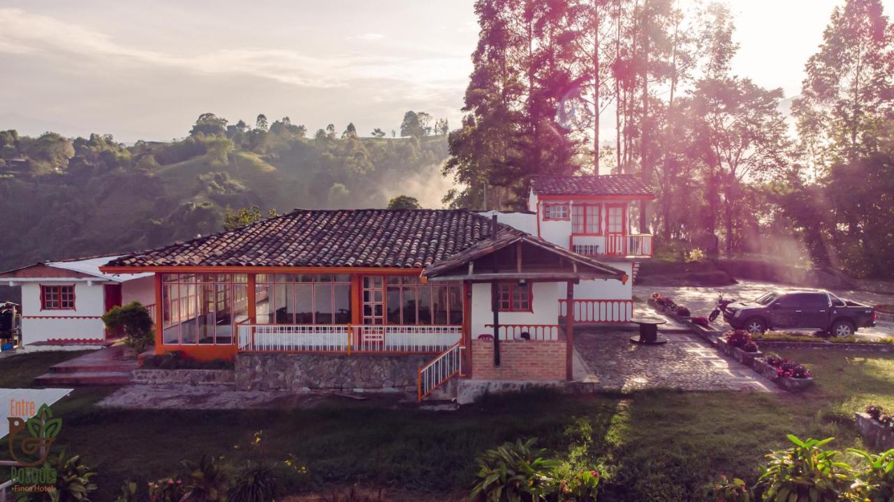 Ecohotel Entrebosques Salento Exteriör bild