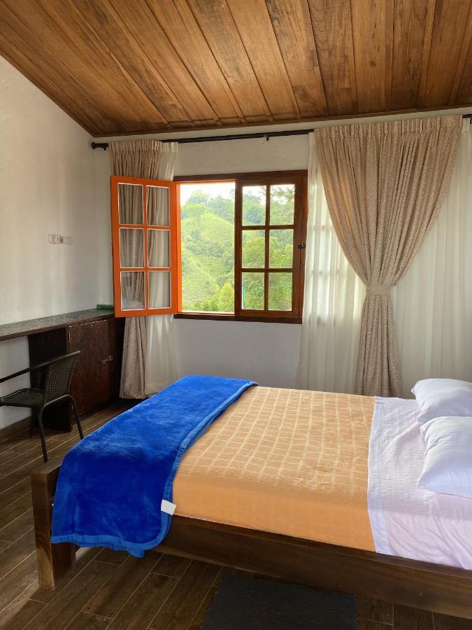Ecohotel Entrebosques Salento Exteriör bild